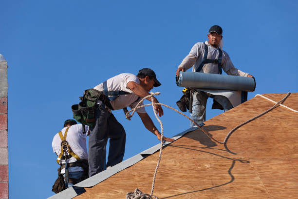 Best Storm Damage Roof Repair  in Greenville, TX