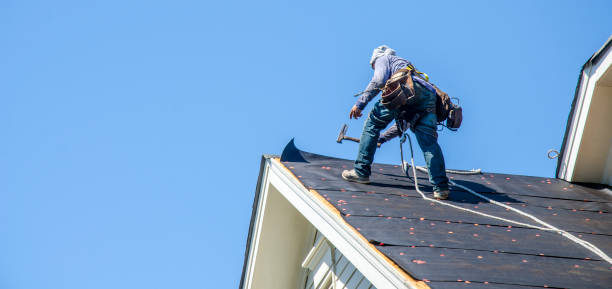 Roof Gutter Cleaning in Greenville, TX